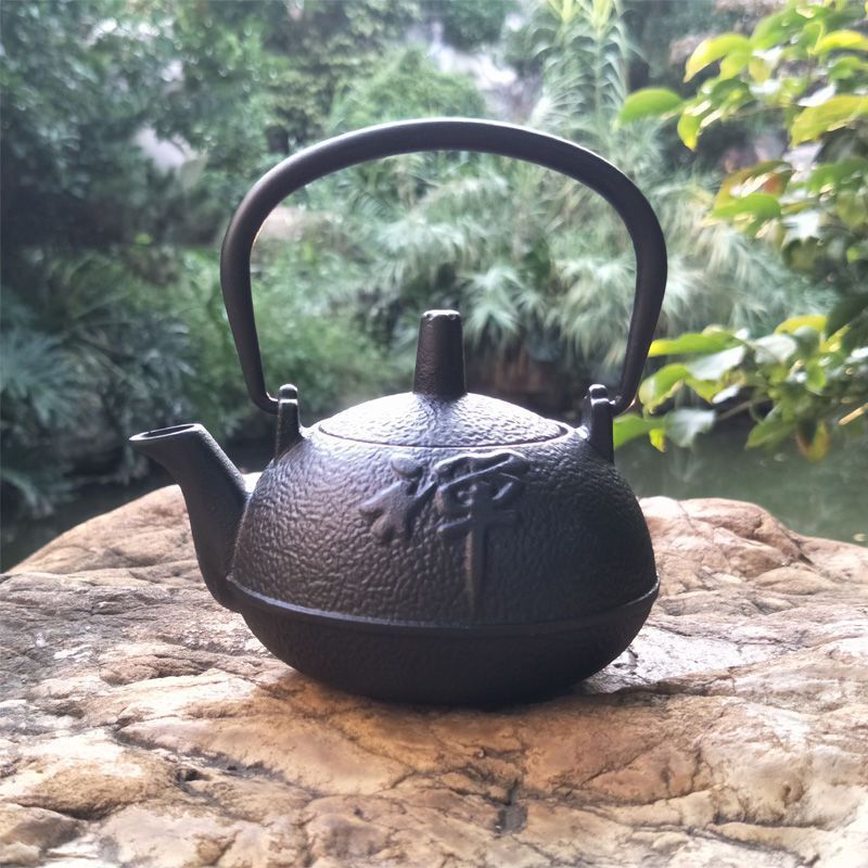 Cast Iron Pot Copper Coin Iron Pot Japanese Style Teapot