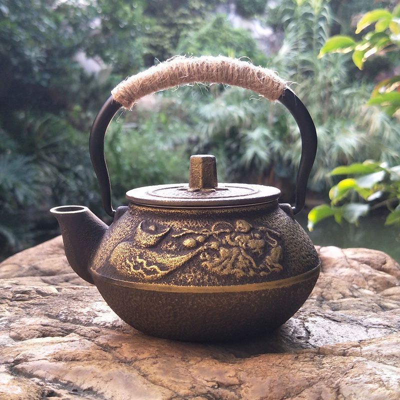 Cast Iron Pot Copper Coin Iron Pot Japanese Style Teapot