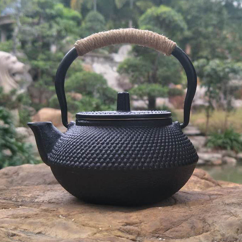 Cast Iron Pot Copper Coin Iron Pot Japanese Style Teapot