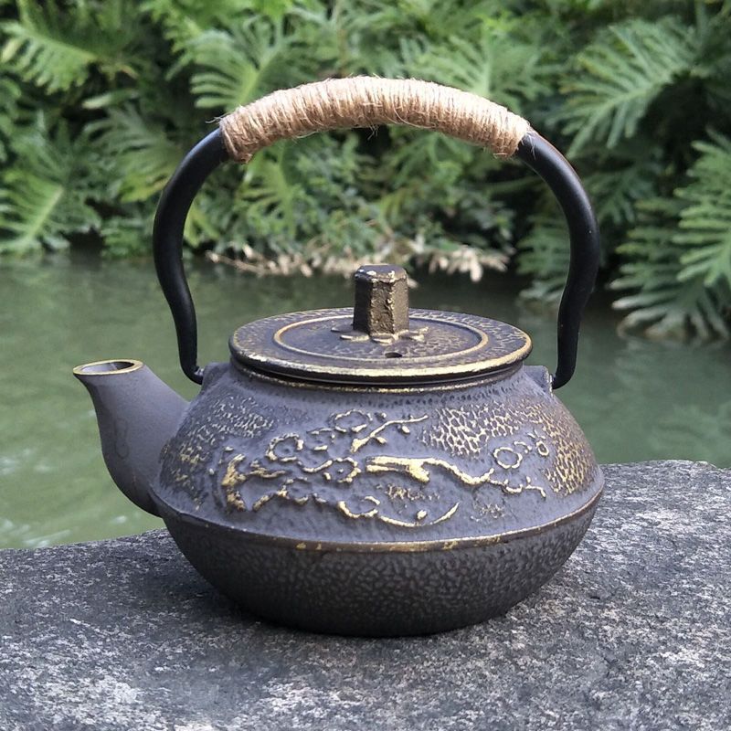 Cast Iron Pot Copper Coin Iron Pot Japanese Style Teapot