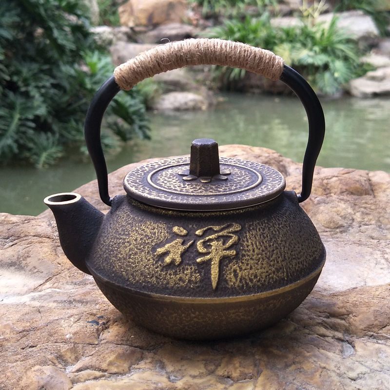 Cast Iron Pot Copper Coin Iron Pot Japanese Style Teapot