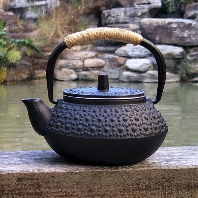 Cast Iron Pot Copper Coin Iron Pot Japanese Style Teapot