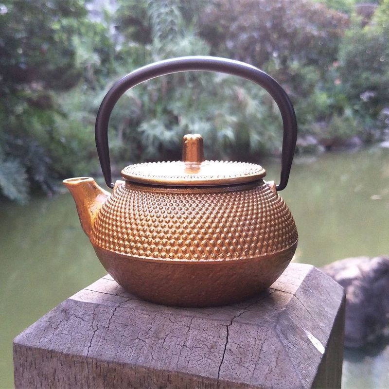 Cast Iron Pot Copper Coin Iron Pot Japanese Style Teapot
