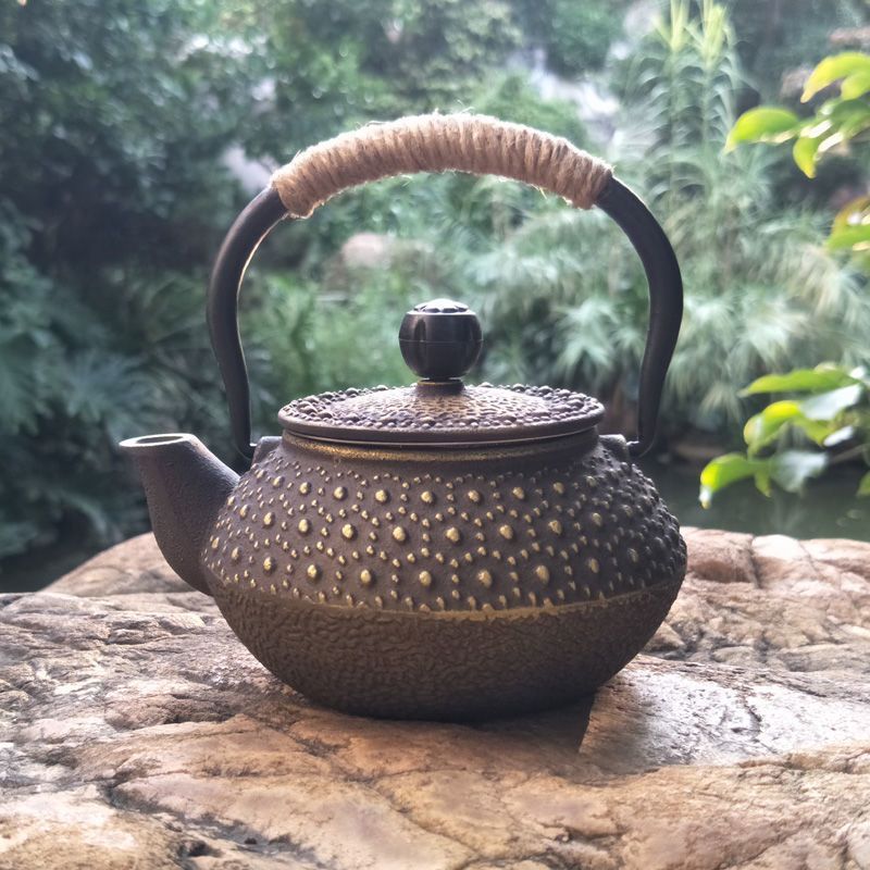 Cast Iron Pot Copper Coin Iron Pot Japanese Style Teapot