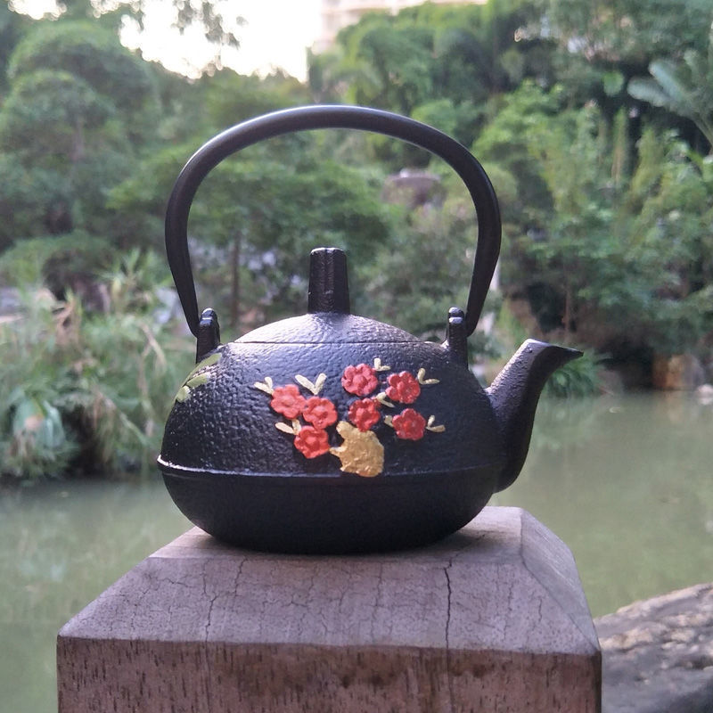 Cast Iron Pot Copper Coin Iron Pot Japanese Style Teapot